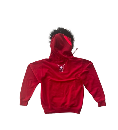 iXtsy Hoodie "MRPWNC"